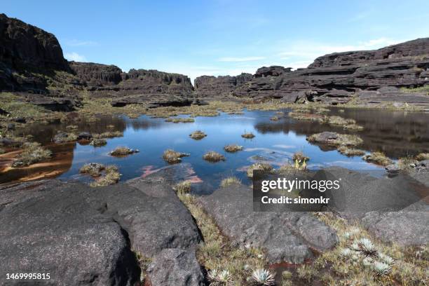 view of valley and mountains - mt roraima stock pictures, royalty-free photos & images