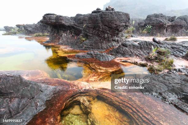 natural pools on top of roraima - mt roraima stock pictures, royalty-free photos & images