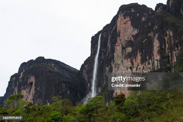 waterfall from mount roraima - mt roraima stock pictures, royalty-free photos & images