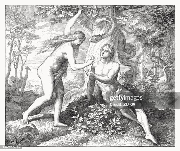 sündenfall (genesis 3, 6), holzstich, veröffentlicht 1860 - adam bibelfigur stock-grafiken, -clipart, -cartoons und -symbole