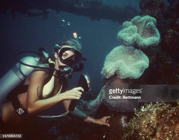 Woman named as Francine Herbert, aged 24, scuba diving in the Pacific Ocean in Micronesia on September 13th, 1973. Herbert is a flight attendant...