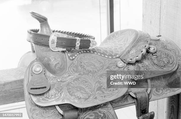 97 Rex Cauble Stock Photos, High-Res Pictures, and Images - Getty Images