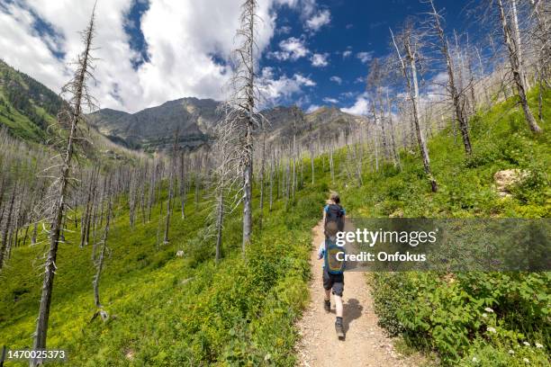 mother and son hiking in waterton lakes national park, alberta, canada - escape stock pictures, royalty-free photos & images