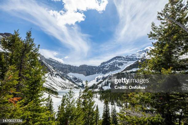 bertha lake im waterton-lakes-nationalpark, alberta, kanada - waterton lakes national park stock-fotos und bilder