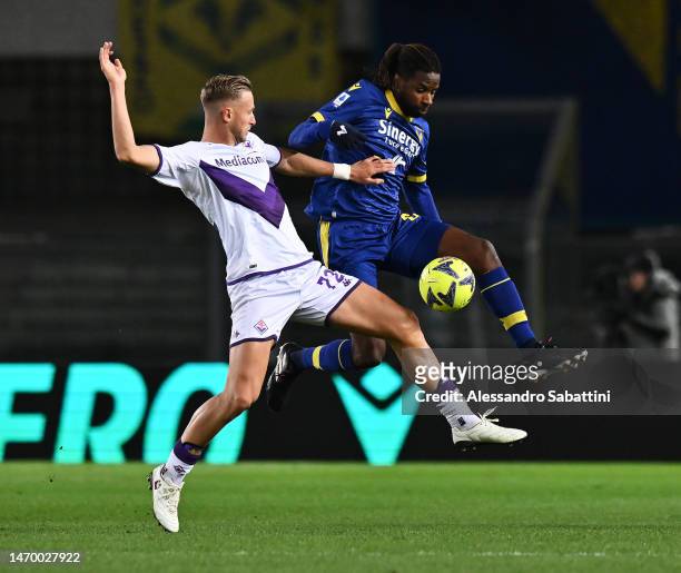 Antonin Barak of ACF Fiorentina and Adrien Tameze of Hellas Verona battle for the ball during the Serie A match between Hellas Verona and ACF...