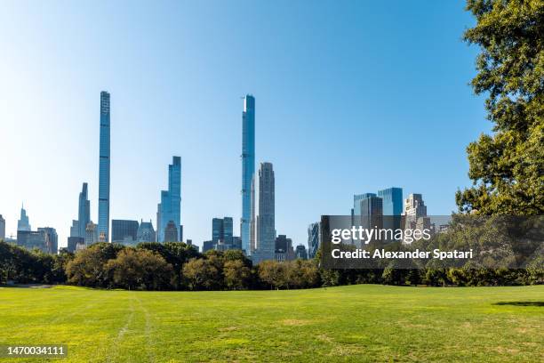 central park and new york skyline on a sunny summer day, usa - sheep meadow central park stock pictures, royalty-free photos & images