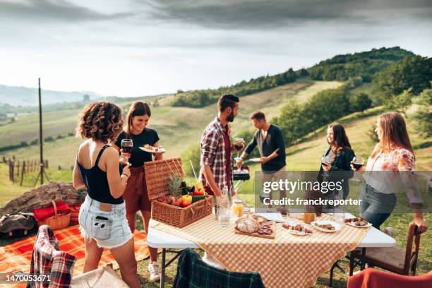 amigos brindando juntos por la barbacoa - reencuentro fotografías e imágenes de stock