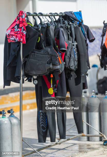 Diving Suit Rack Scuba Cozumel Photos and Premium High Res Pictures - Getty Images