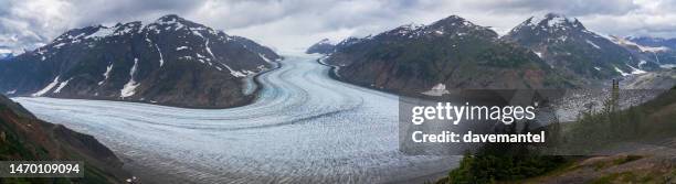 glaciar de salmón vista panorámica - clima alpino fotografías e imágenes de stock