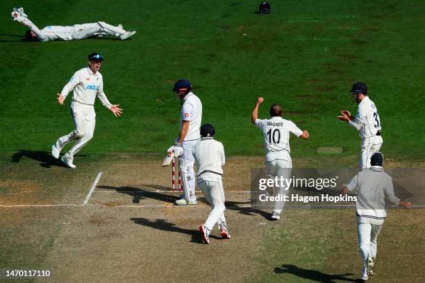 Neil Wagner of New Zealand celebrate the wicket of during day five of the Second Test Match between New Zealand and England at Basin Reserve on...