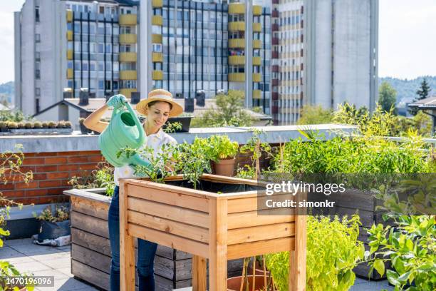 mujer sonriente regando plantas por macizo de flores - jardín urbano fotografías e imágenes de stock