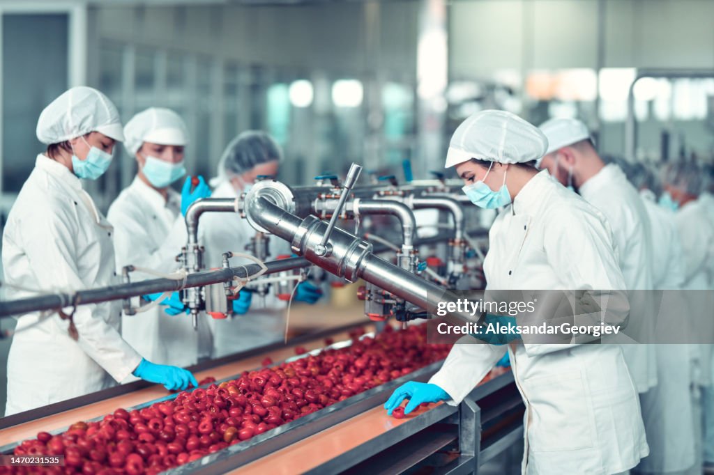 Colleagues A Competition At Stuffing Peppers With Cottage Cheese In Food Processing Plant