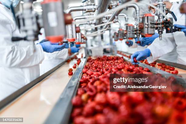 entsaatprozess von kirschpaprika in lebensmittelverarbeitungsbetrieben - nahrungsmittelfabrik stock-fotos und bilder