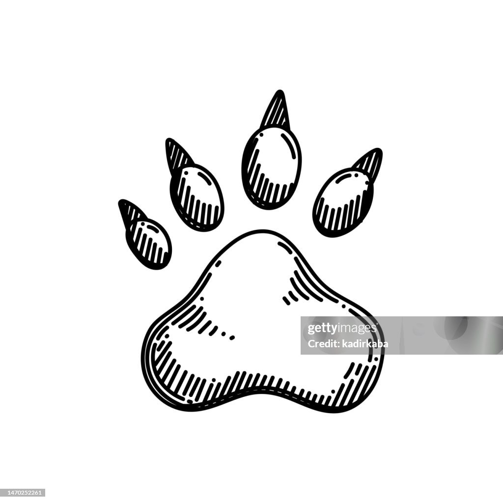 Icono de línea de huella de animal salvaje, diseño de boceto, píxel perfecto, trazo editable.