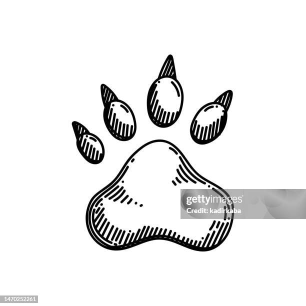 wild animal footprint line icon, sketch design, pixel perfect, editable stroke. - bear paw print stock illustrations