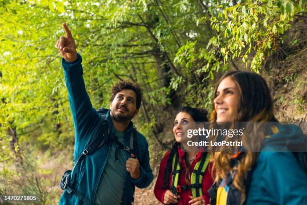 group of friends hiking in mountain together - escapism stock pictures, royalty-free photos & images