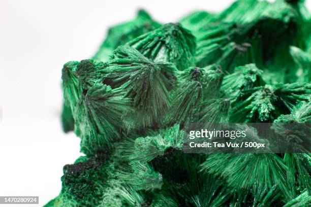 vibrant green copper mineral malachite in velvet form highly structured crystal,russia - malaquita fotografías e imágenes de stock
