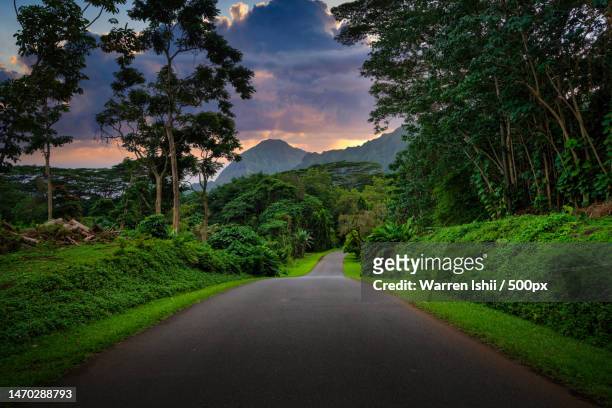 empty road amidst trees against sky,kaneohe,hawaii,united states,usa - kaneohe foto e immagini stock