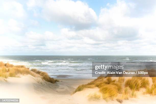 Coxyde Photos and Premium High Res Pictures Getty Images