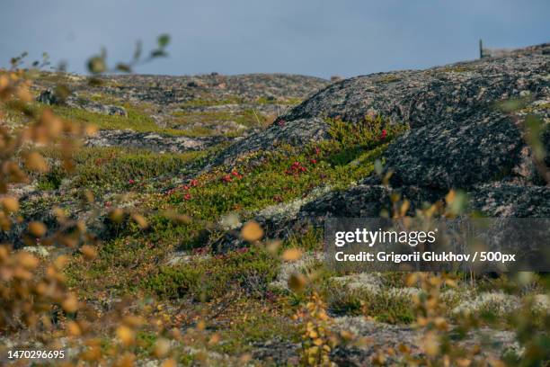 scenic view of landscape against sky,teriberka,russia - teriberka imagens e fotografias de stock