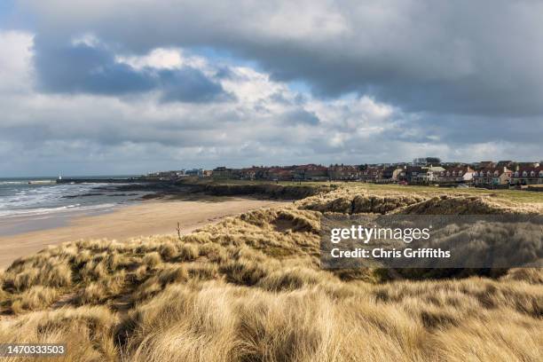 northumberland, united kingdom - seahouses stock pictures, royalty-free photos & images