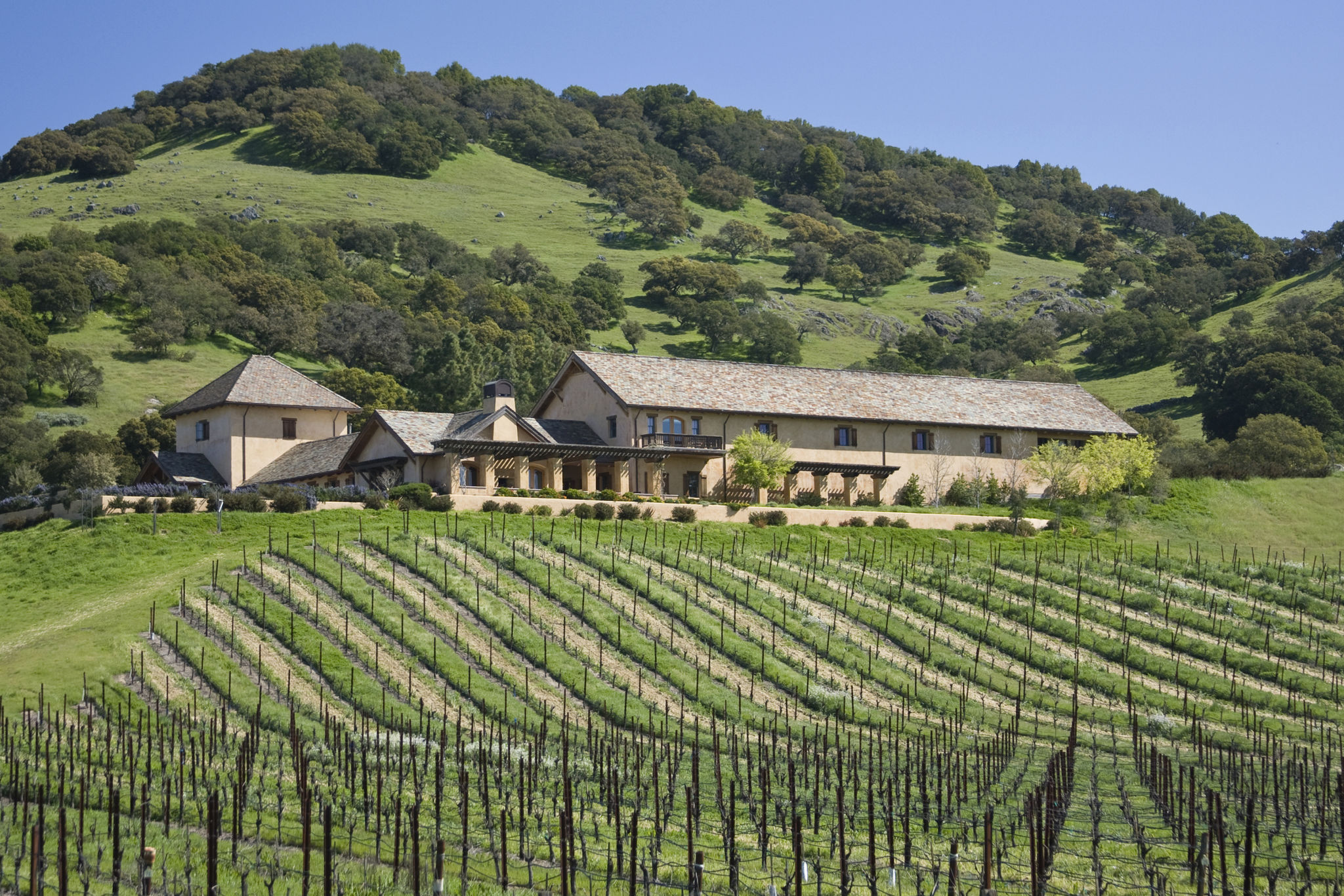 home winemaking