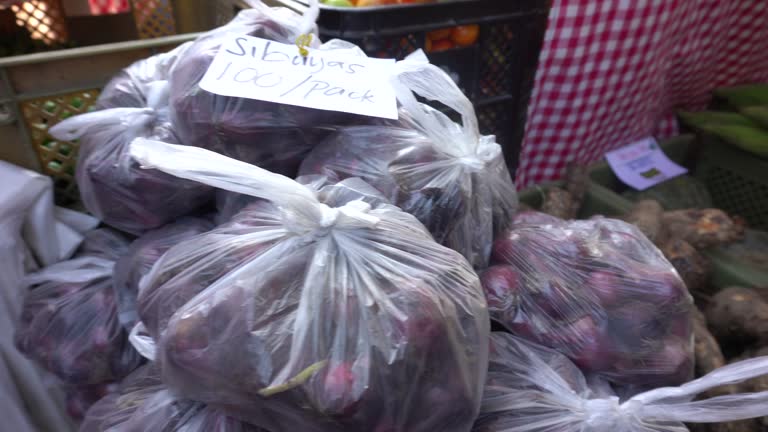Local Rizal Products 136 Rizal Park Stock Videos, Footage, & 4K Video Clips - Getty Images