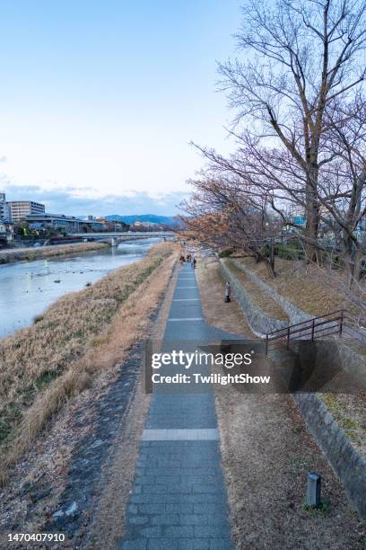 kamo river in kyoto city at sunset - kamo river stock pictures, royalty-free photos & images