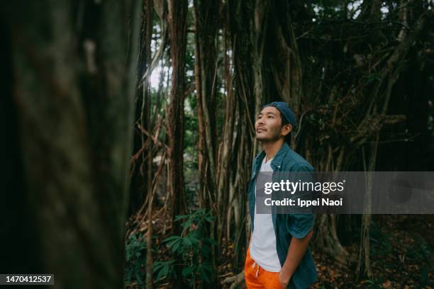 man in forest with banyan trees - profile picture stock pictures, royalty-free photos & images