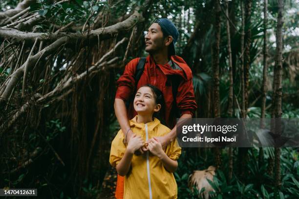 father and daughter hiking in rainforest - banyan tree fotografías e imágenes de stock