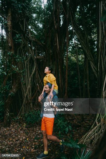 father giving daughter shoulder ride in forest of banyan trees - strangler fig tree stock pictures, royalty-free photos & images