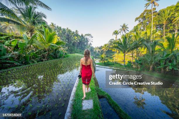 donna presso tegalalang rice terrace a bali - bali foto e immagini stock