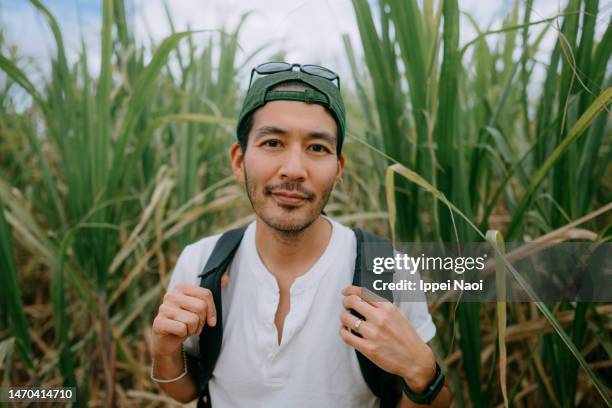 man looking at camera in sugarcane field - agriculture sugar cane stock pictures, royalty-free photos & images