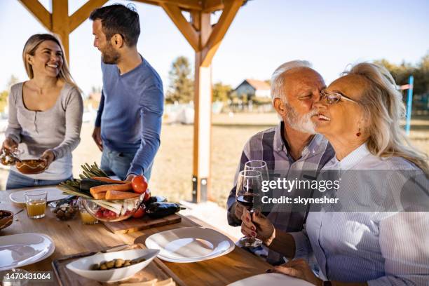 happy senior parents toasting while having a meal at their adult children's. - father in law stock pictures, royalty-free photos & images