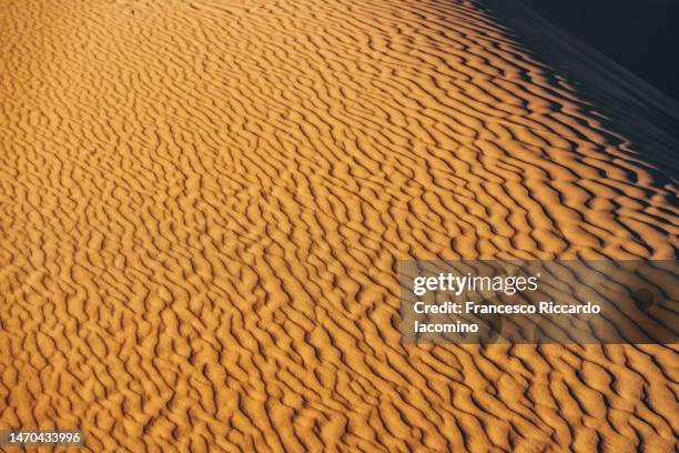 desert sand textures - sahara　sunrise stock pictures, royalty-free photos & images