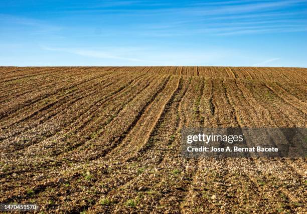 plowed field in winter prepared for sowing wheat. - campo arado fotografías e imágenes de stock