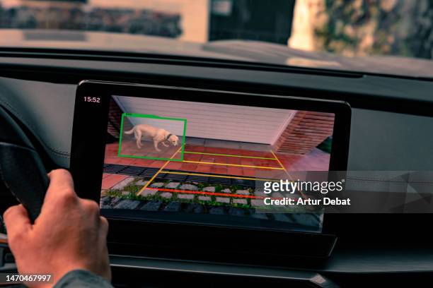 parking car at home with smart rear camera system and big screen device detecting dog in blind spot. - voiture autonome photos et images de collection