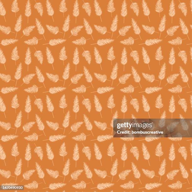 pampas pattern - bohemian interior stock illustrations