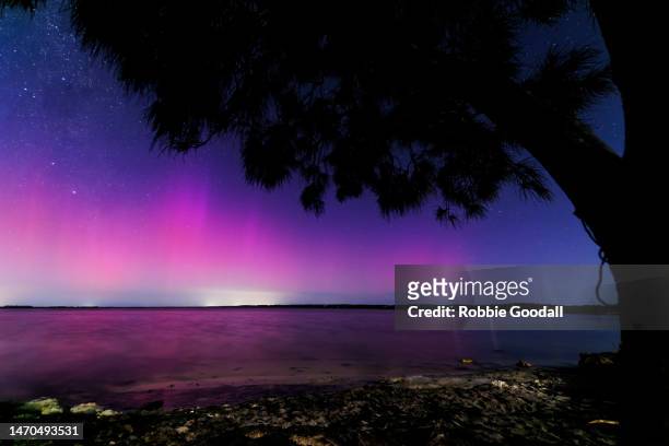 aurora australis over herron point - western australia - aurora australis bildbanksfoton och bilder