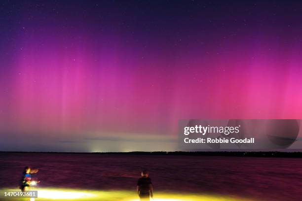 aurora australis over herron point while people are crabbing in the foreground - western australia - aurora australis bildbanksfoton och bilder