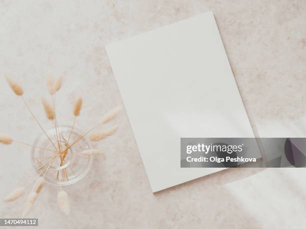 empty blank white magazine or catalog cover layout, vase with dry plants on beige concrete background - book table stockfoto's en -beelden