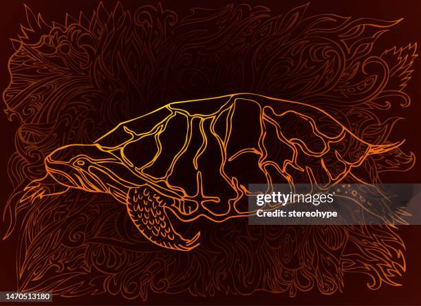 ilustraciones, imágenes clip art, dibujos animados e iconos de stock de tortuga en la oscuridad - rough scale python