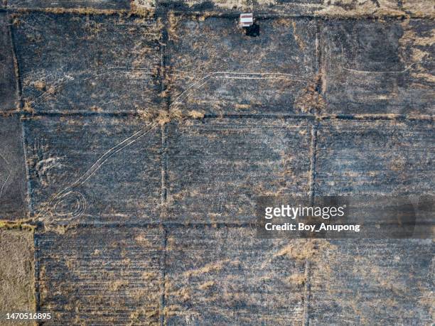 aerial view of agriculture field after burning. agricultural burning helps farmers remove crop residues left in the field after harvesting grains, such as hay and rice. - buening shack stock pictures, royalty-free photos & images