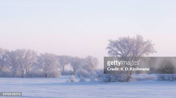 early morning winter landscape on the prairies - rime ice stock pictures, royalty-free photos & images