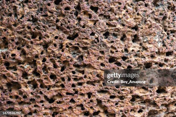 Lateritic Rocks Examples Laterite Rock Photos and Premium High Res Pictures - Getty Images