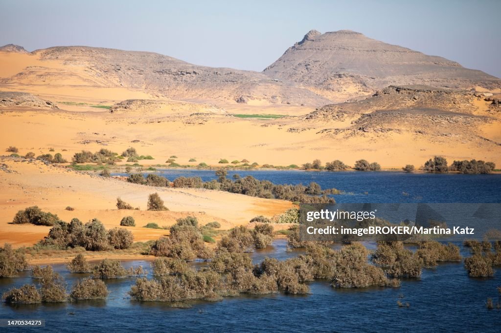 Lake Nasser, reservoir, Nubian Desert behind, Egypt