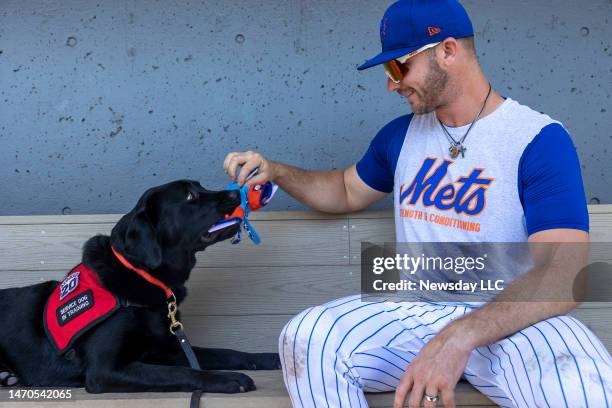 New York Mets first baseman Pete Alonso playing with Bear, a black Labrador retriever that Alonso and his foundation are sponsoring for special...