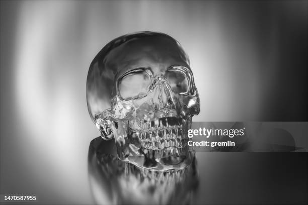 3,547 Crystal Skull Stock Photos, High-Res Pictures, and Images - Getty  Images