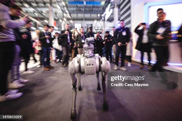 Boston Dynamics robot walks during the day 3 of the Mobile World Congress 2023 at Fira Barcelona on March 01, 2023 in Barcelona, Spain.