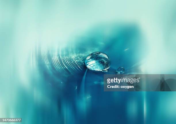 abstract macro drop water on bird feather closeup, aqua blue fine art, motion blured selective focus background - oil macro stock pictures, royalty-free photos & images